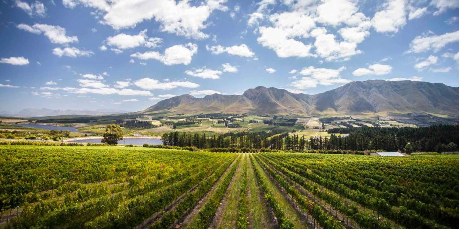 Full Day Winelands Tour - Frequently Asked Questions