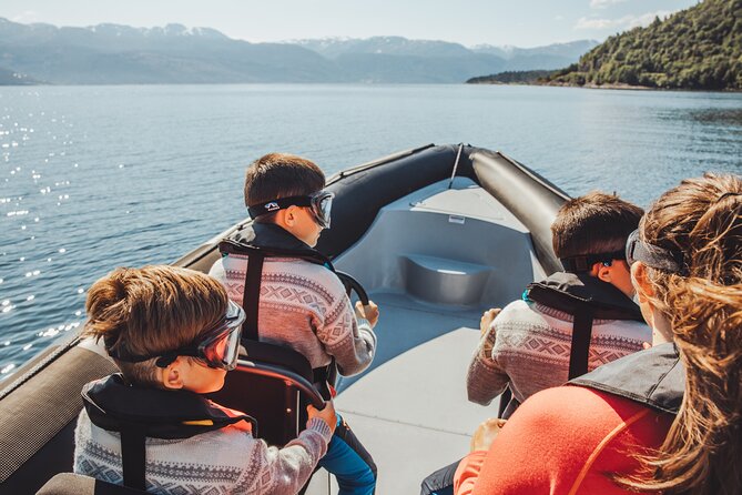 Fyksesund Majestic RIB Adventure From Øystese - Travelers Testimonials