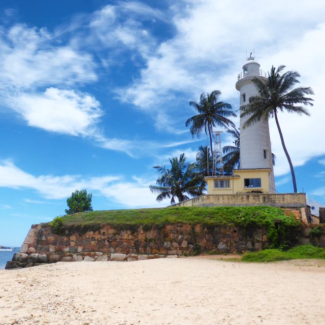 Galle Fort and Fish Massage From Negombo - Customer Reviews
