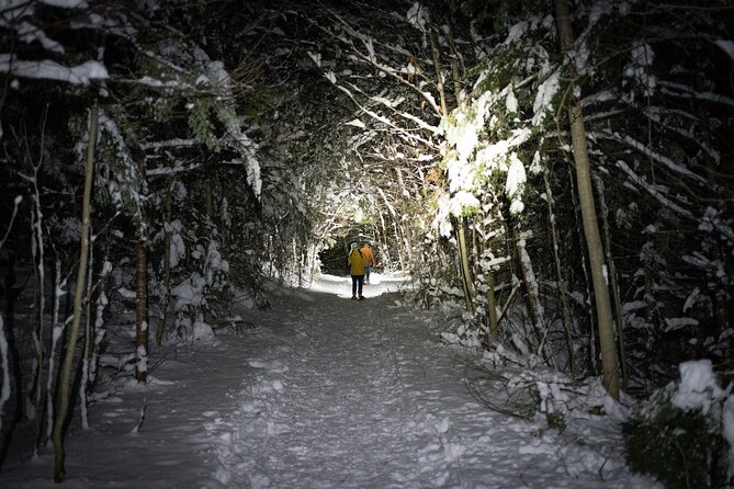 Gatineau Park Nocturnal Snowshoeing Adventure & Dinner - From Ottawa & Gatineau - Diverse Customer Base and Multilingual Reviews