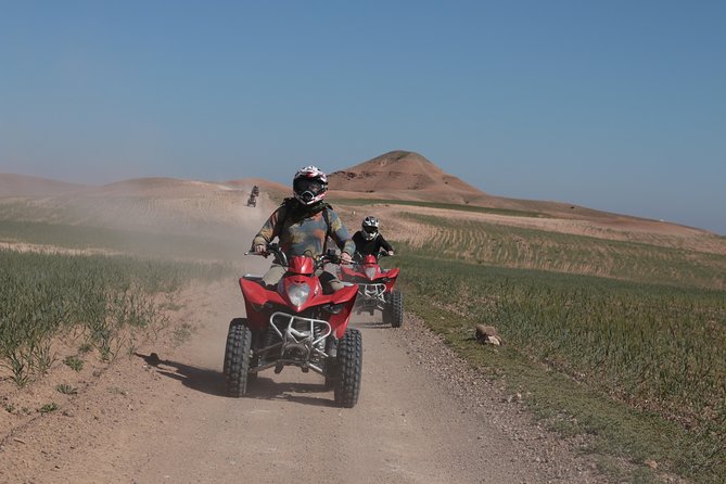 Half-Day Quad Bike in the Palmgrove & Rock Desert - Booking and Cancellation Policy