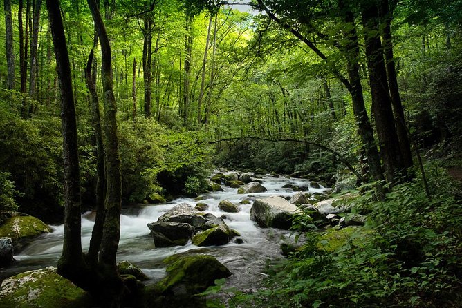 Half-Day Tour With Instruction in Vistas & Waterfall Photography - Tips for a Successful Tour
