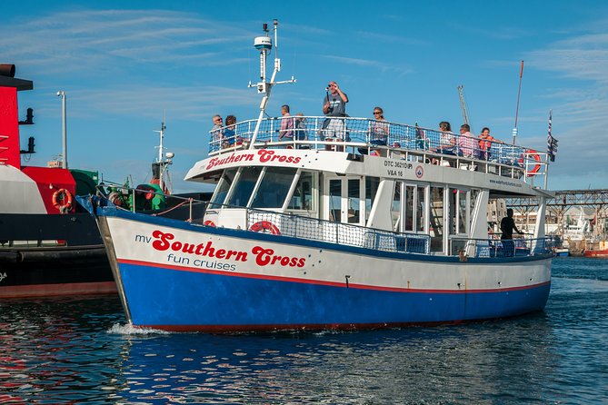 Half Hour Seal and Harbour Cruise From Cape Town - Capturing Scenic Moments