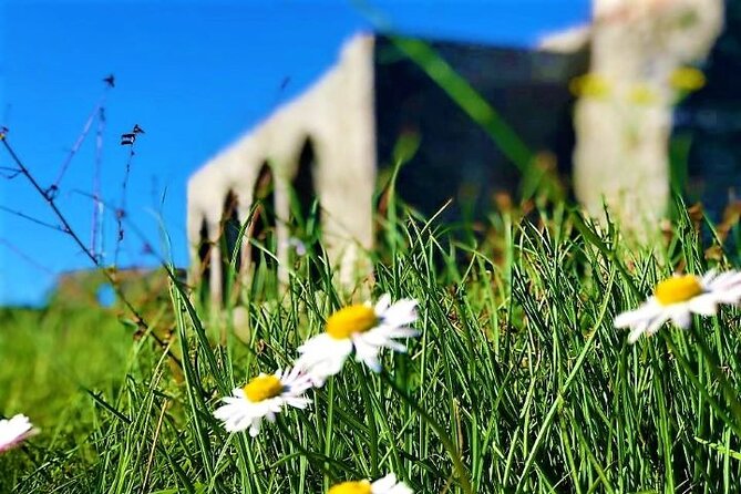 Highlights of Albania - Customized Tour Experiences