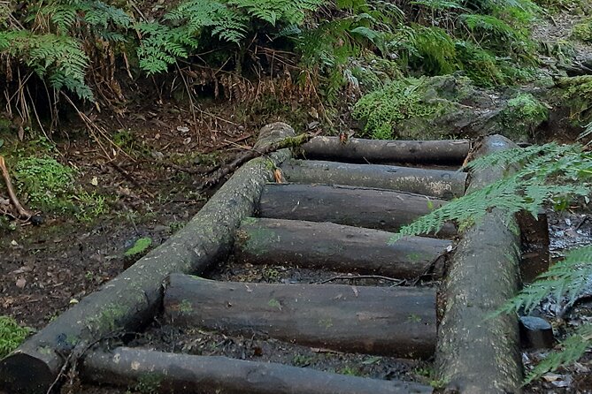 Hiking Trail Black Mysteries | Terceira Island - Health and Safety Considerations