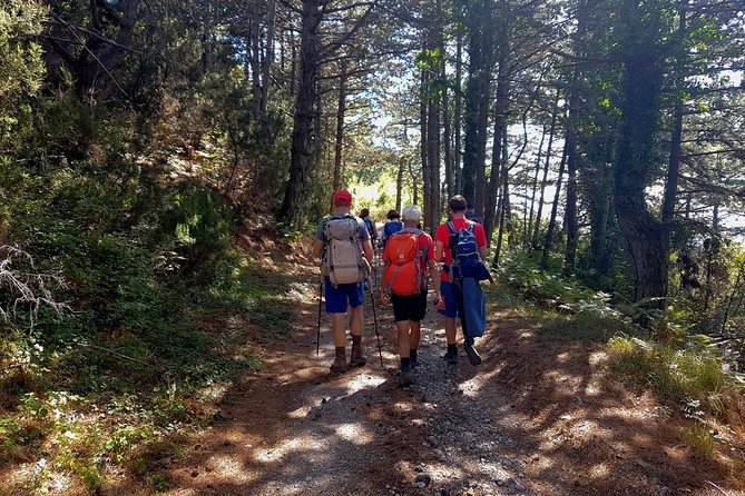 Hiking Vrmac Peninsula With Panoramic View on Kotor Bay - Tips for Enjoying the Views