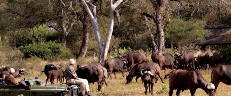 Hluhluwe Imfolozi Day Tour 4x4 Game Drive - From Durban - Preparing for the Hluhluwe Imfolozi Adventure