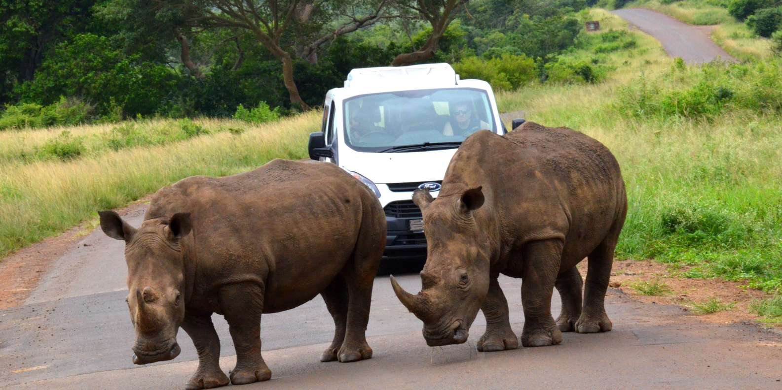 Hluhluwe Imfolozi Safari Including Open Vehicle Game Drive - The Sum Up