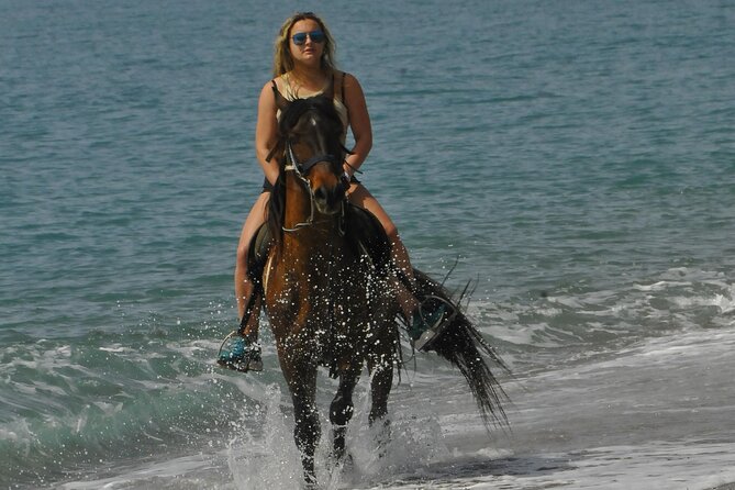 Horseback Riding by Beach or Forest in Manavgat Side - Booking and Pricing Details