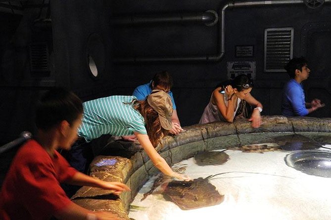 Houston CityPASS® - Exploring Houston Attractions