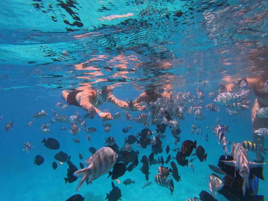 Hurghada: 4 Island Hopping Tour Dolphin, Snorkeling & Lunch - Additional Activities