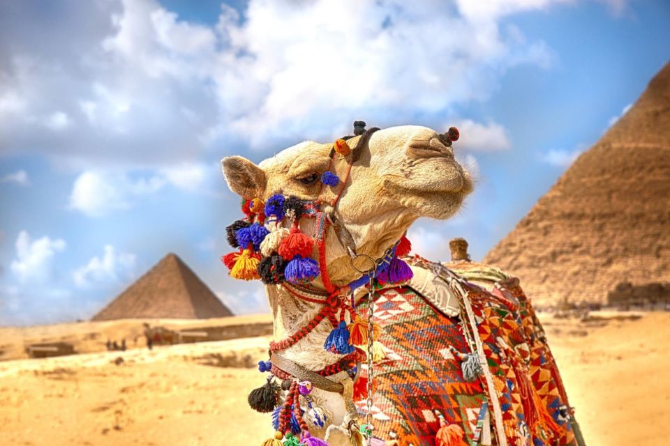 Hurghada: Camel Ride Along Pyramids of Giza & Cairo Museum - Booking and Cancellation Policy