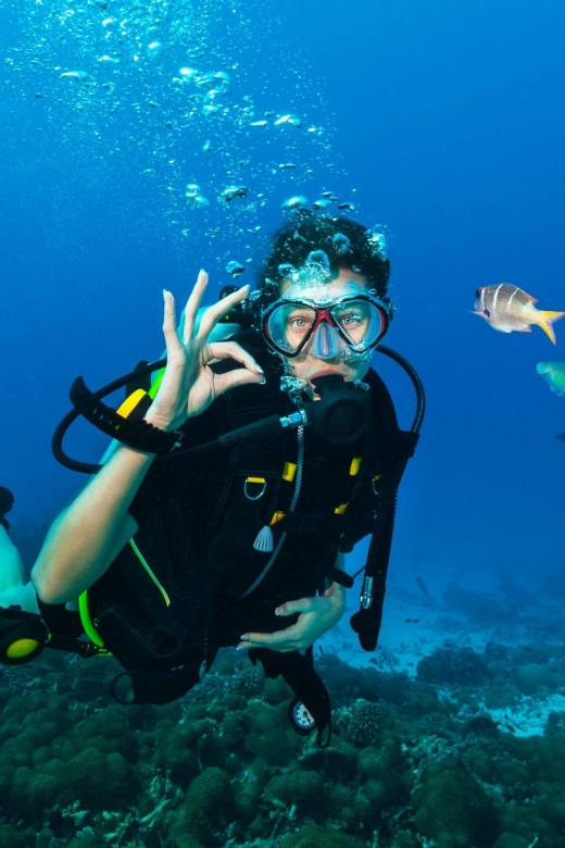 Hurghada: Diving and Snorkeling Tour With Transfers - Tips for First-Time Divers