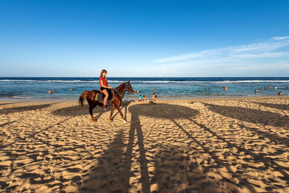 Hurghada: Horse Ride Along the Sea & Desert With Transfers - Tips for a Great Ride