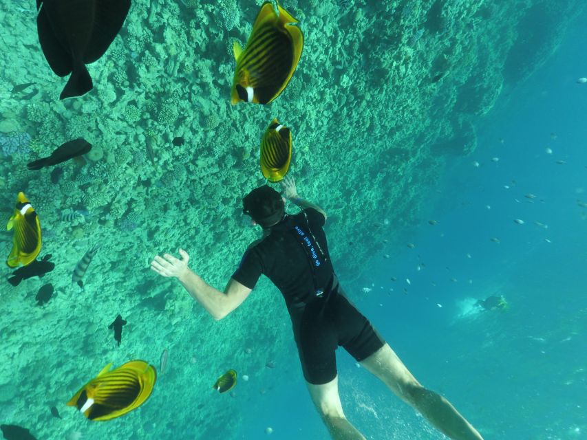 Hurghada: Snorkelling Trip by Speedboat With Hotel Pickup - Booking and Cancellation Policy