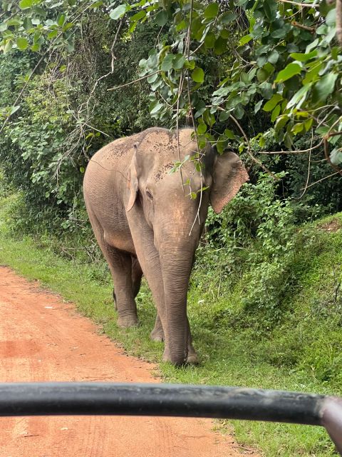 Hurulu National Park Safari Minneriya - Frequently Asked Questions