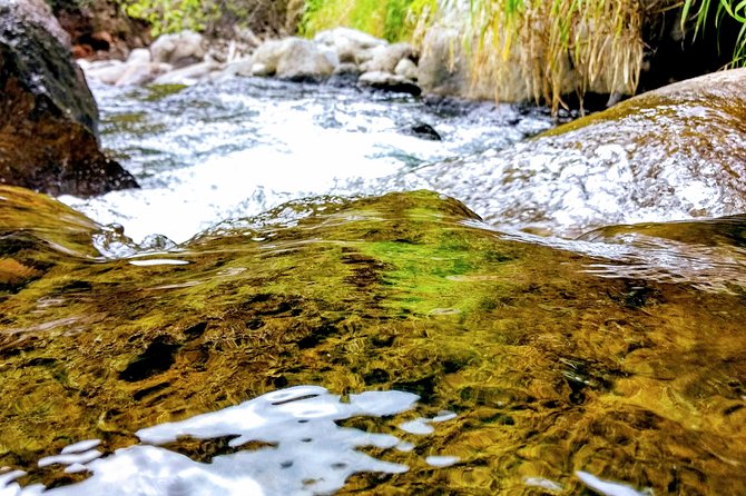Iao Needle Gardens Streams Rainforest Walk & Bg Green Seaturtles - Visiting Hookipa Beach Park