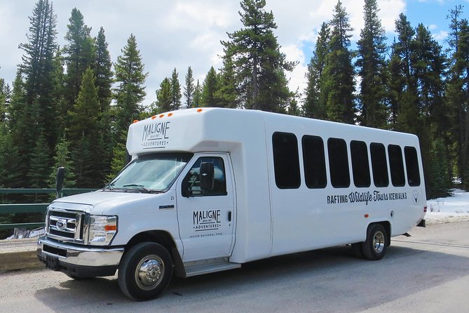 Jasper Evening Wildlife Tour - Cancellation Policy