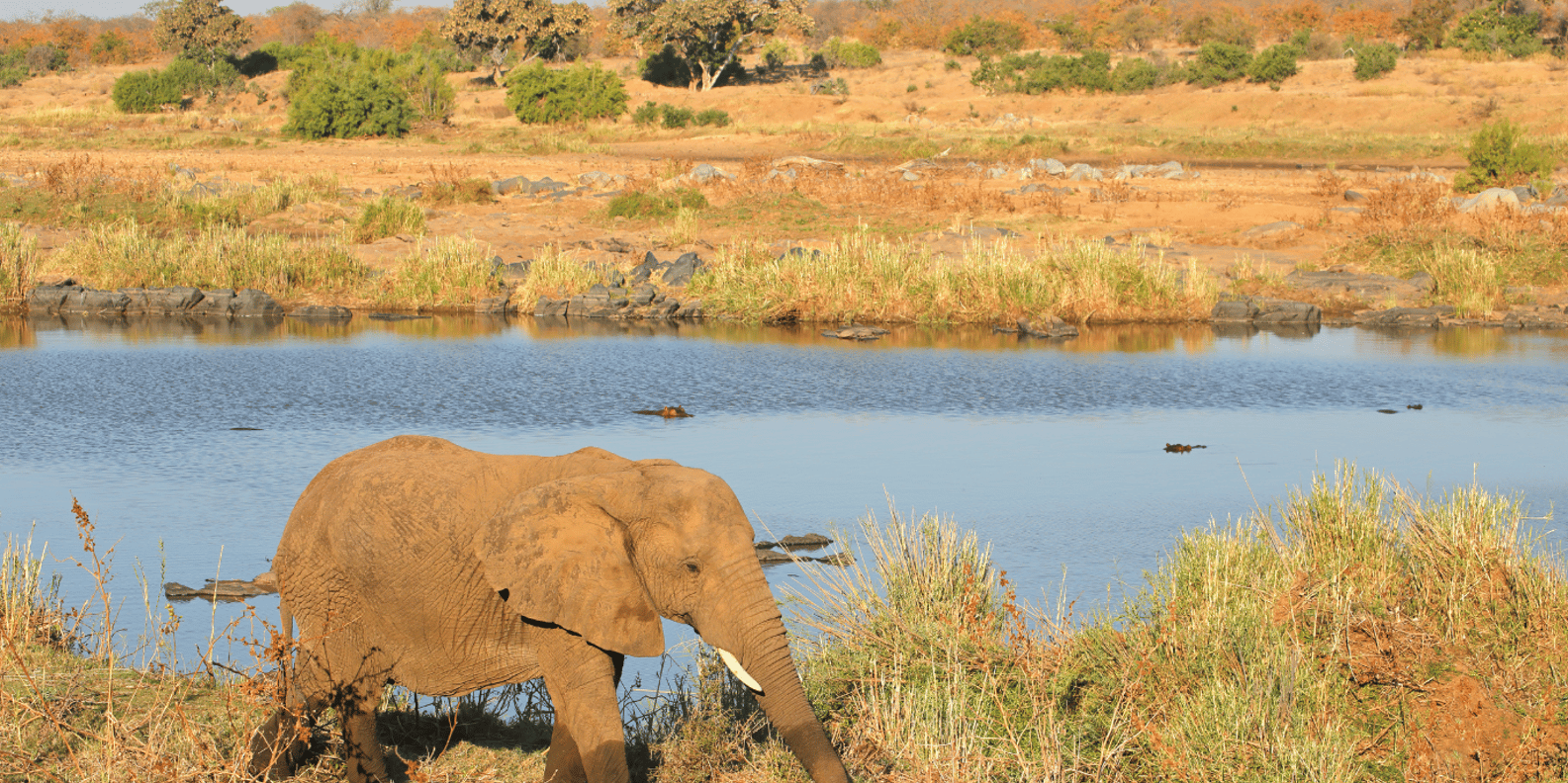 Johannesburg: 3-Day Kruger National Park and Panorama Route… - Frequently Asked Questions