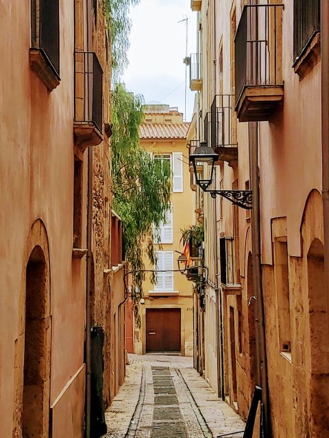 Journey to the Past: the Roman Tarraco and Old Town - Spanish - Frequently Asked Questions