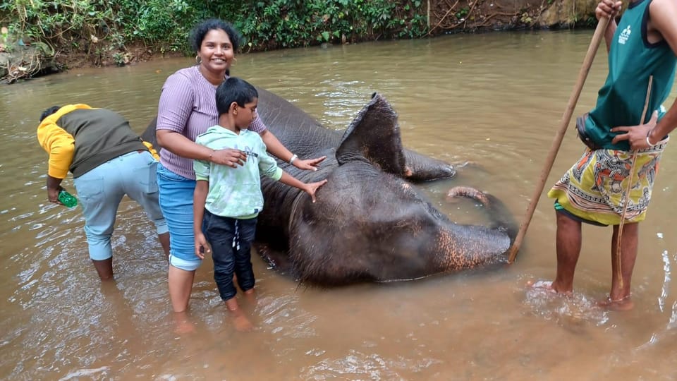 Kandy Full Day Tour From Negombo (Private Day Tour) - How to Book the Tour