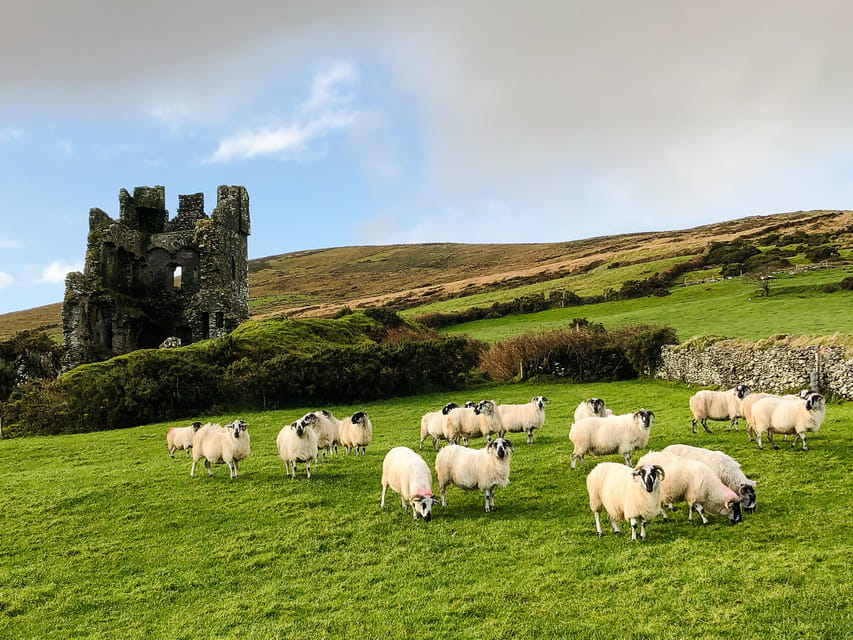 Killarney: Dingle Peninsula Photo and Sightseeing Tour - Tips for a Great Experience