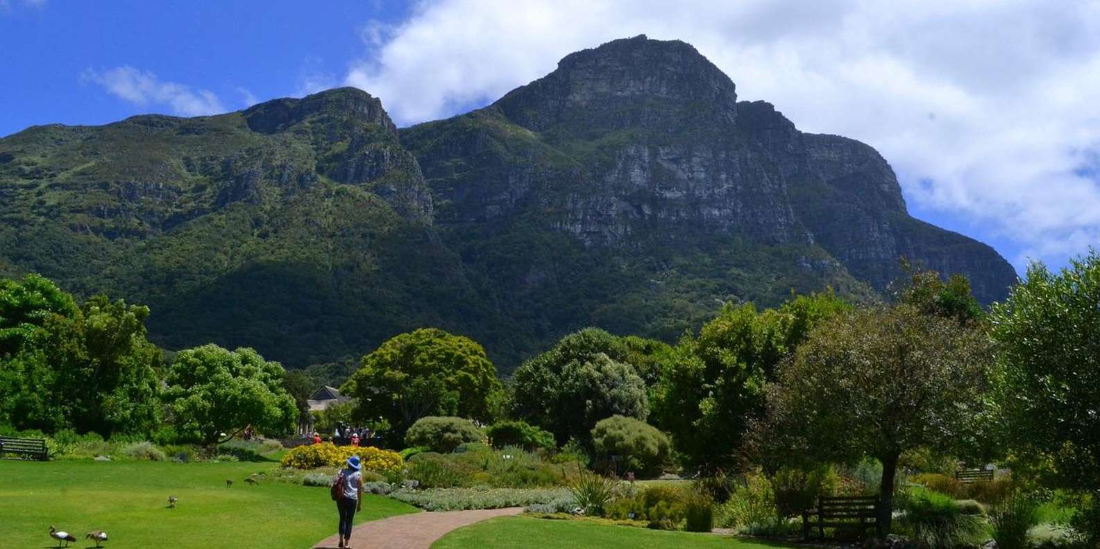 Kirstenbosch Botanical Garden and Constantia Wine Region - Frequently Asked Questions