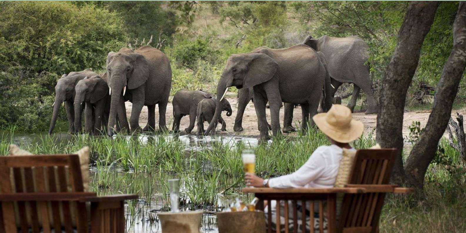 Kruger National Park 3 Day Safari Fr Johannesburg & Pretoria - Preparing for Your Safari