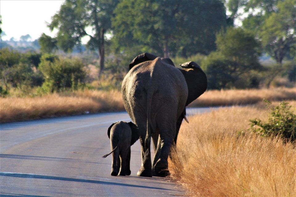 Kruger National Park Full-Day Safari - Booking and Cancellation Policy