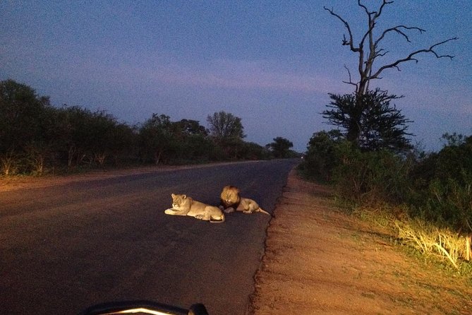 Kruger Park Safari: Guided Day Tour From Nelspruit - Booking Information