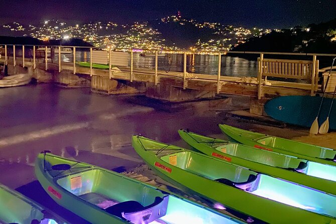 LED Illuminated Kayak After Dark at Marriott Frenchmans Cove STT - Tour Highlights and Concerns