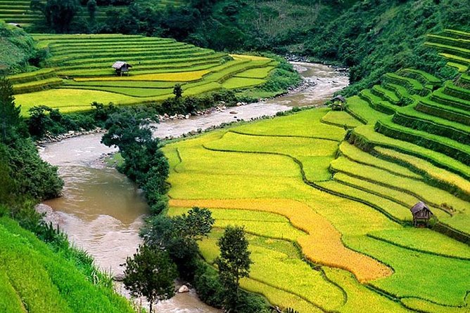 Local Experience in Sapa Trekking Tours - Tips for Trekking in Sapa