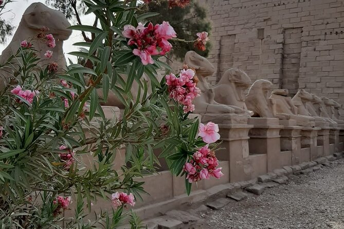 Luxor Full Day Tour - Logistics and Inclusions