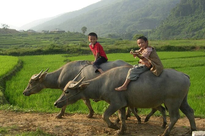 Luxury Mai Chau Full Day Tour Small Group -Departure From Hanoi - Tips for Travelers