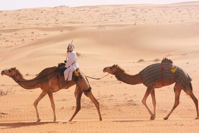 Luxury Sunset Desert Safari - Tips for Your Safari Experience