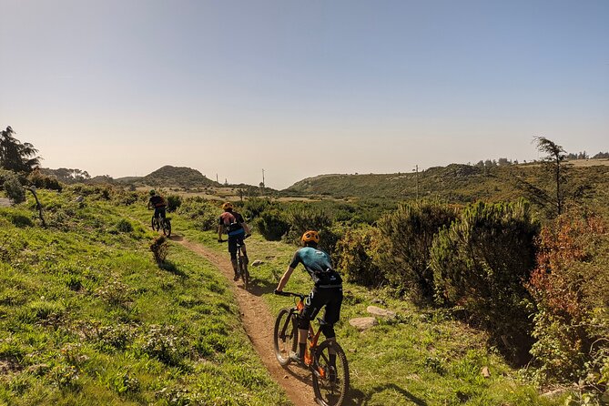 Madeira Island Guided Mountain Biking Adventure - Frequently Asked Questions