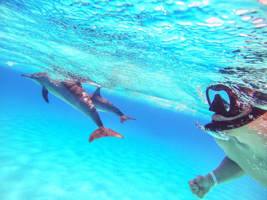 Makadi Bay: Dolphin Watching Boat Tour W/ Private Transfers - Nearby Attractions in Makadi Bay