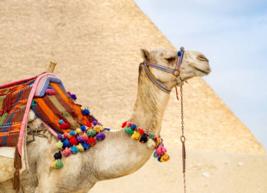 Makadi: Cairo & Giza Ancient Egypt Full-Day Trip by Plane - Tips for Travelers