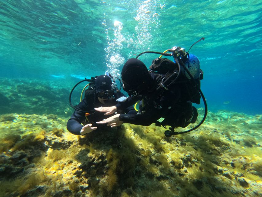 Malta: St. Pauls Bay 1 Day Scuba Diving Course - Tips for a Memorable Experience