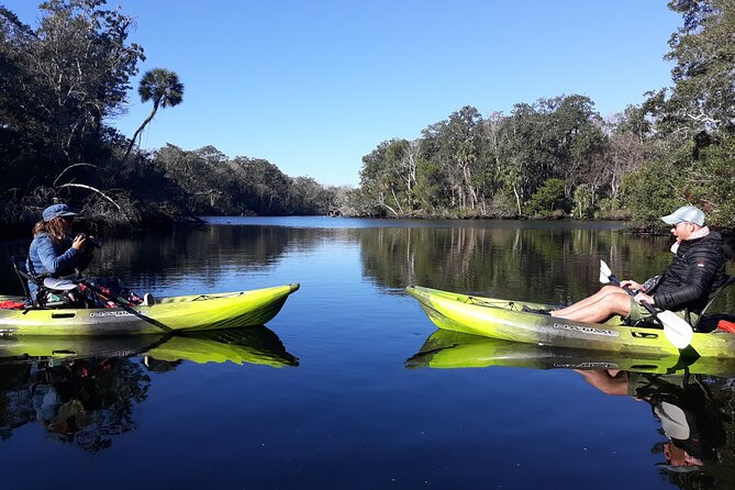 Manatee Kayak Encounter - What to Expect on Tour