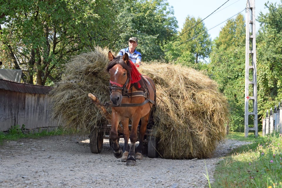 Maramures Day Tour (From Cluj-Napoca) - The Sum Up