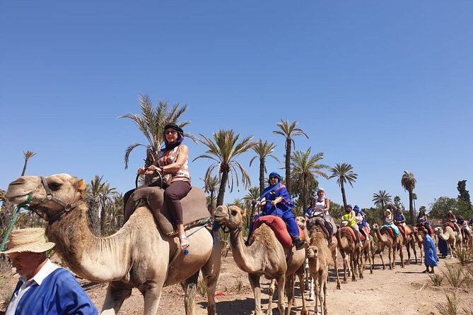 Marrakech Desert Camel Ride - Considerations and Recommendations
