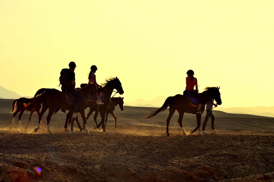 Marsa Alam: Sea and Desert Horse Riding Tour - Additional Activities and Tips