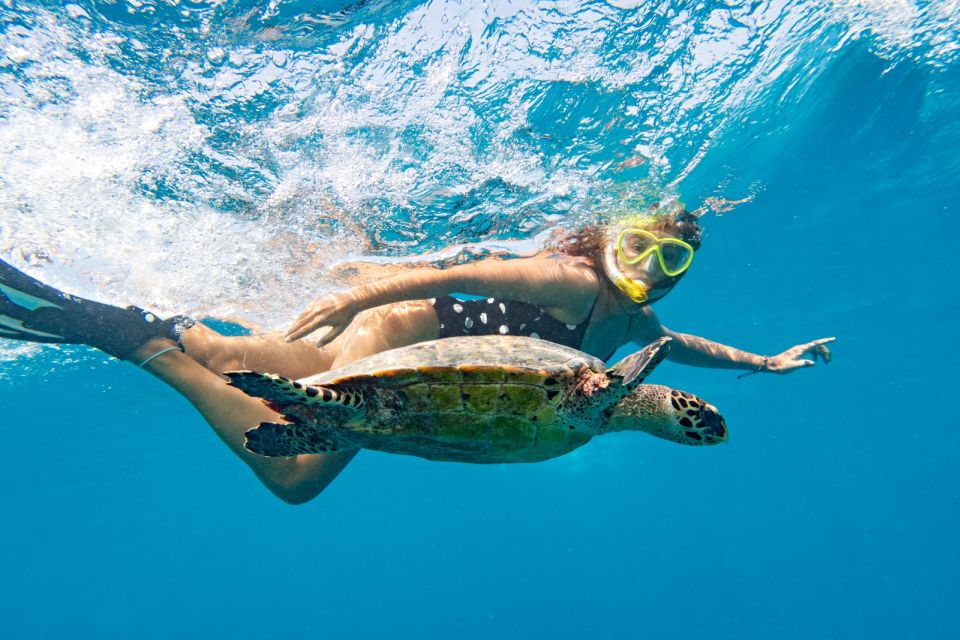 Marsa Alam: Snorkeling Boat Trip With Sea Turtles and Lunch - Booking Information