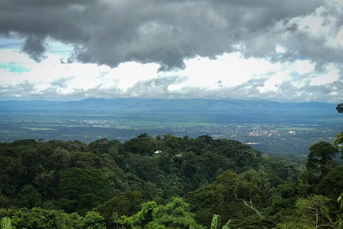 MATERUNI Waterfalls, Coffe Tour & Kikuletwa Hotsprings - Tips for Your Visit
