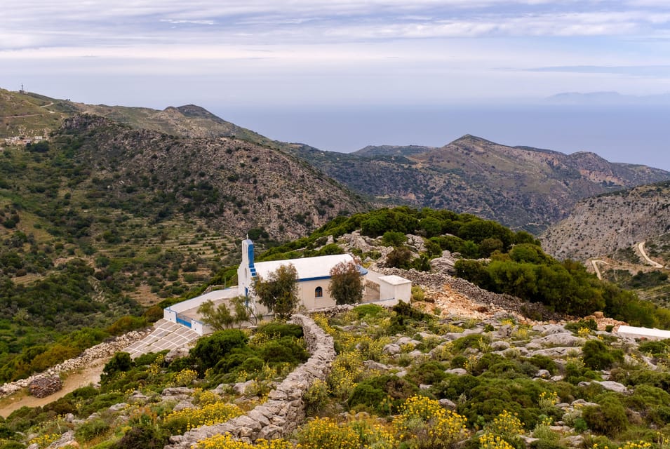 Meet the Trees in Cyclades Hiking (Small Group Experience) - Recommendations for Participants