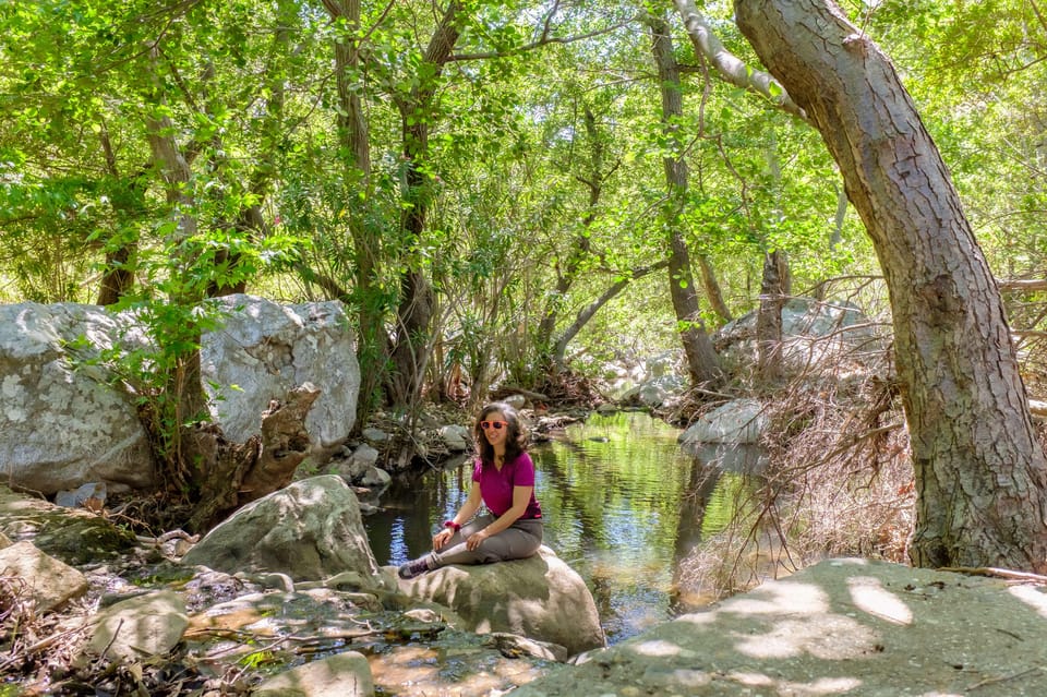 Meet the Trees in Cyclades Hiking Tour (Private Experience) - Learning About Local Trees