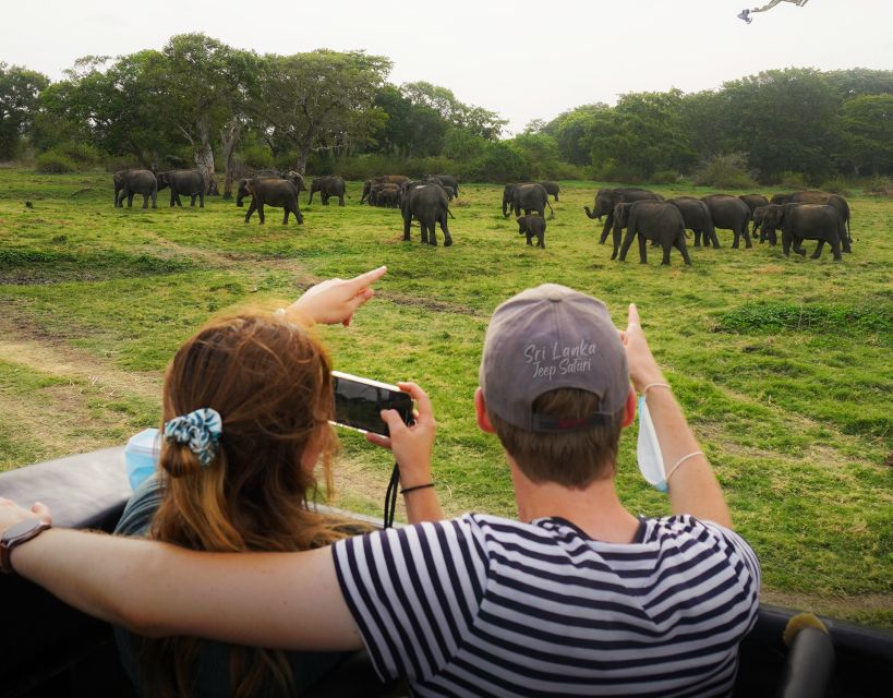 Minneriya National Park Half Day Sri Lanka Jeep Safari - Wildlife Viewing Highlights