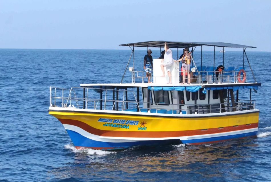 Mirissa Whale Watching Experience With Seafood Lunch - Important Considerations