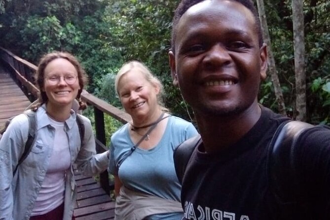 Mountain Kilimanjaro Day Hike - What to Expect